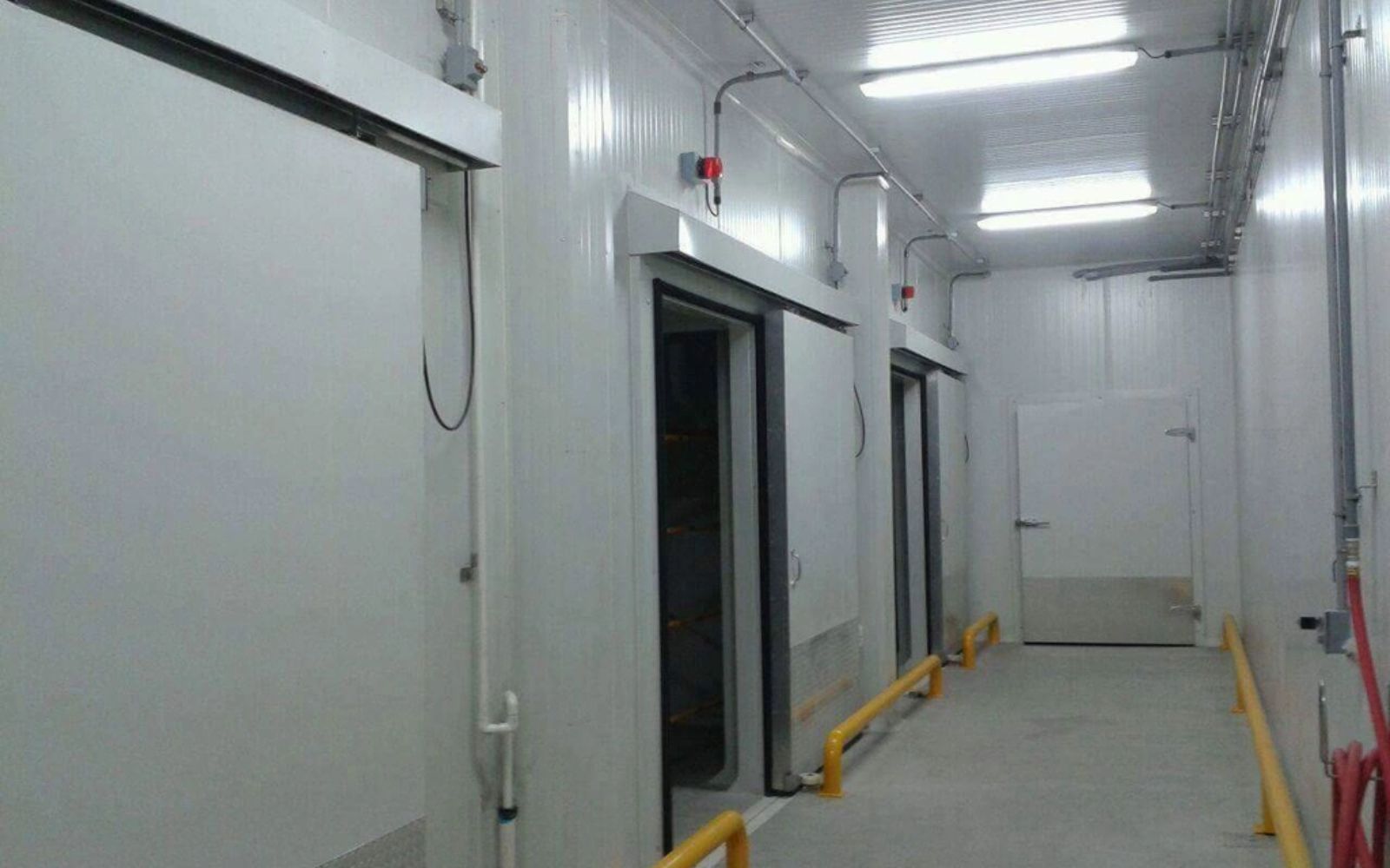 Thuê kho lạnh hay xây kho lạnh để tối ưu nhất