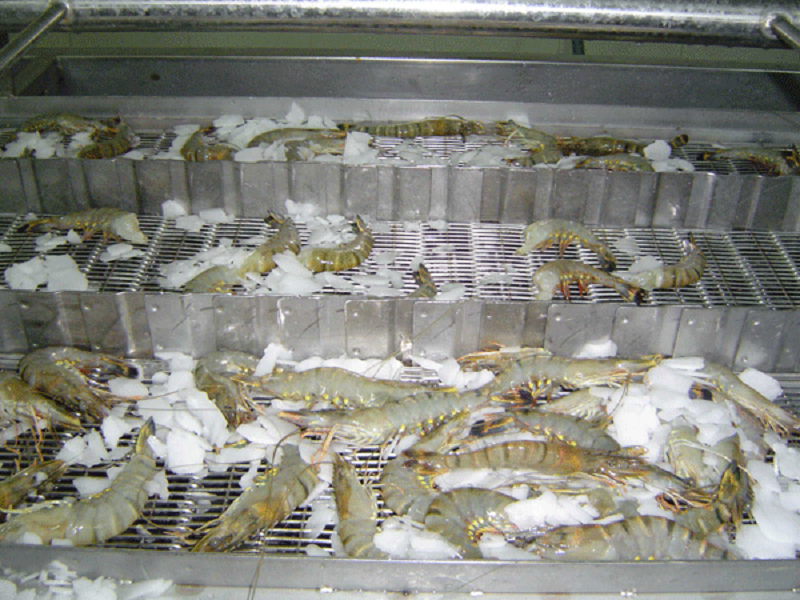 Lưu ý khi sử dụng kho bảo quản hải sản đông lạnh