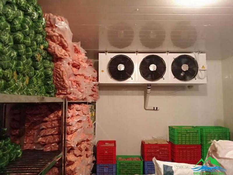 thiết kế kho lạnh thực phẩm 