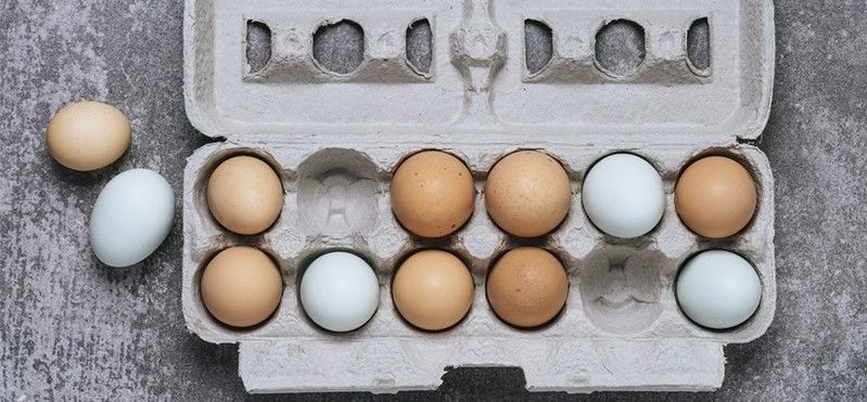 Ở nhiệt độ phòng, trứng gà có thời hạn sử dụng từ 7 – 10 ngày 