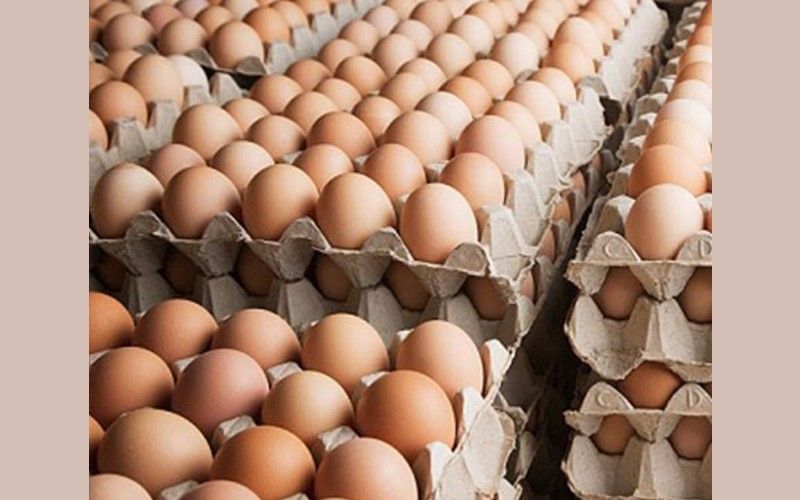 Kết hợp linh hoạt nhiều phương pháp bảo quản trứng gà sao cho phù hợp với nhu cầu, mục đích sử dụng