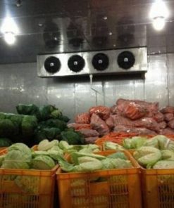 Cho thuê Kho lạnh bảo quản rau quả thương mại