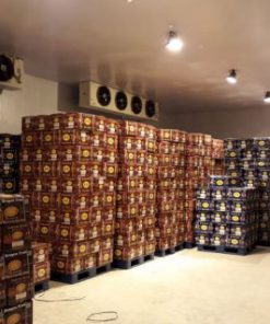 Cho thuê Kho lạnh bảo quản sữa thương mại