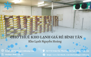 Cho thuê kho lạnh giá rẻ Bình Tân