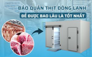 Bảo quản thịt đông lạnh để được bao lâu là tốt nhất 