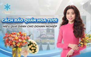 Cách bảo quản hoa tươi hiệu quả