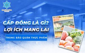 Cấp đông là gì