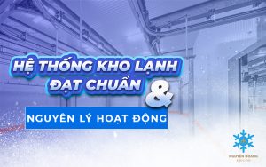 hệ thống kho lạnh đạt chuẩn