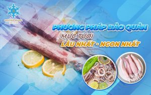 Cách bảo quản mực tươi