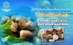 Cách bảo quản nấm rơm
