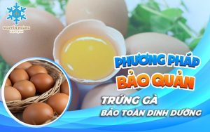 Phương pháp bảo quản trứng gà bảo toàn dinh dưỡng
