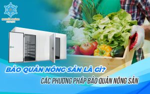Quy trình chung bảo quản nông sản
