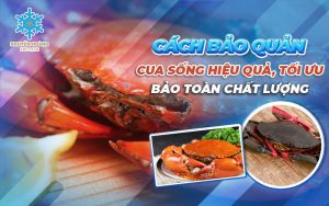 bảo quản cua sống