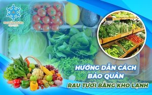 cách bảo quản rau tươi lâu bằng kho lạnh