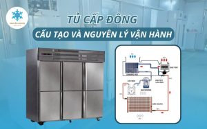 cấu tạo và nguyên lý vận hành tủ cấp đông