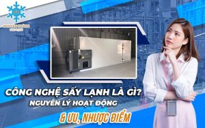 CONG-NGHE-SAY-LANH-LA-GI