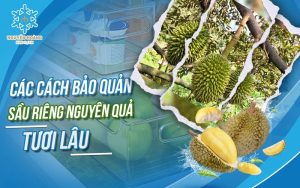 Các cách bảo quản sầu riêng nguyên quả tươi lâu