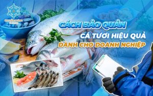 Cách bảo quản cá tươi bằng kho lạnh