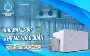 Kho mát là gì? Kho mát bảo quản có những tiêu chuẩn nào?