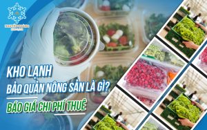 Báo giá chi phí thuê kho lạnh bảo quản nông sản