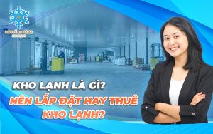 Nên lắp đặt kho lạnh hay thuê kho lạnh bảo quản
