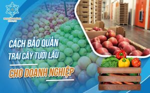Cách bảo quản trái cây tươi lâu cho doanh nghiệp