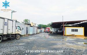 Lý do nên thuê kho lạnh bảo quản