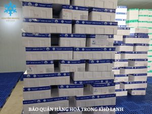 Lưu trữ hàng hoá trong kho lạnh