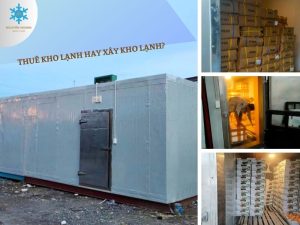 Tại sao nên thuê kho lạnh