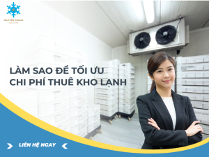 Làm Sao Để Tối Ưu Chi Phí Khi Thuê Kho Lạnh?