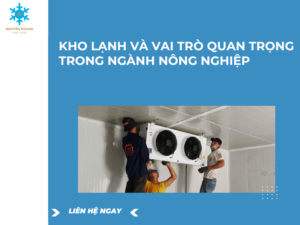 Kho Lạnh Và Vai Trò Quan Trọng Trong Ngành Nông Nghiệp