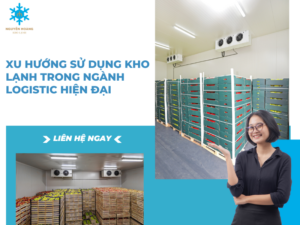 Xu Hướng Sử Dụng Kho Lạnh Trong Ngành Logistic Hiện Đại