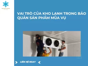 Vai Trò Của Kho Lạnh Trong Bảo Quản Sản Phẩm Mùa Vụ