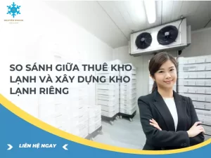 So Sánh Giữa Thuê Kho Lạnh Và Xây Dựng Kho Lạnh Riêng
