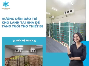 Hướng dẫn bảo trì kho lạnh tại nhà để tăng tuổi thọ thiết bị