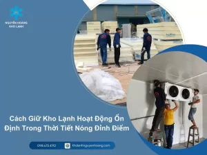 Cách Giữ Kho Lạnh Hoạt Động Ổn Định Trong Thời Tiết Nóng Đỉnh Điểm