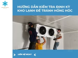 Hướng Dẫn Kiểm Tra Định Kỳ Kho Lạnh Để Tránh Hỏng Hóc