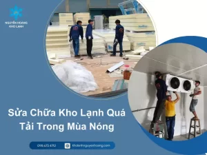 Sửa Chữa Kho Lạnh Quá Tải Trong Mùa Nóng
