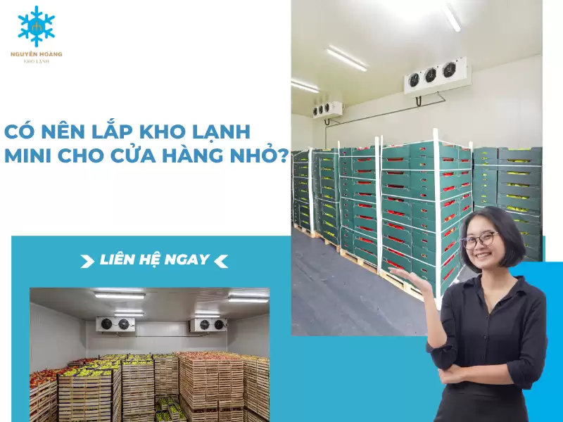 đợt coi mí tập mà lỡ drop, để coi lợi