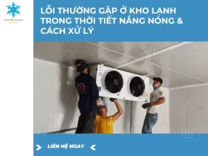 Lỗi Thường Gặp ở Kho Lạnh Trong Thời Tiết Nắng Nóng Và Cách Xử Lý
