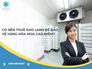 Có nên thuê kho lạnh để bảo vệ hàng hóa mùa cao điểm?