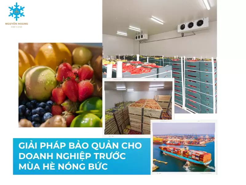 Giải pháp bảo quản cho doanh nghiệp trước mùa hè nóng bức