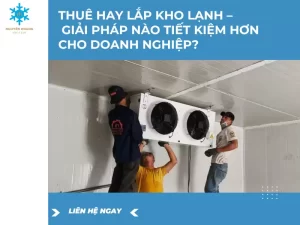 Thuê hay lắp kho lạnh – Giải pháp nào tiết kiệm hơn cho doanh nghiệp?